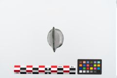 Foto von Bronzetüllenbeil (NHMW-PRAE-024570)